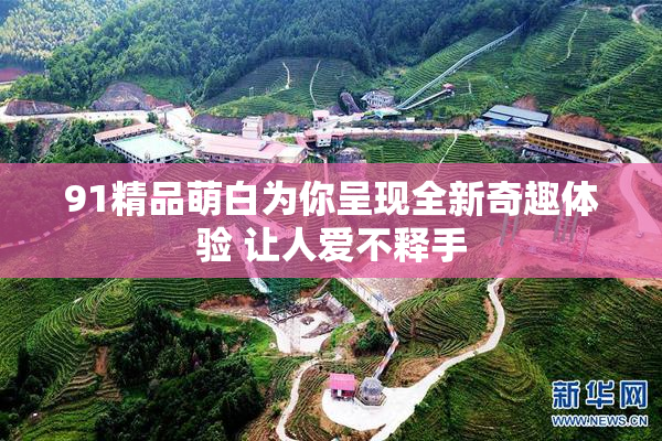 91精品萌白为你呈现全新奇趣体验 让人爱不释手