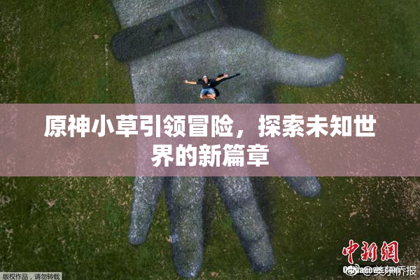 原神小草引领冒险，探索未知世界的新篇章