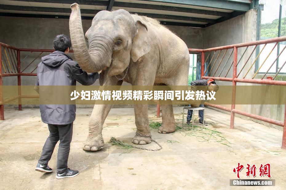 少妇激情视频精彩瞬间引发热议