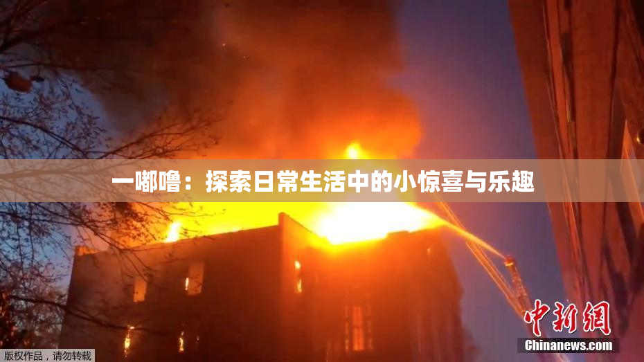 一嘟噜：探索日常生活中的小惊喜与乐趣