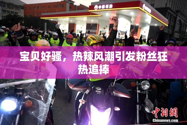 宝贝好骚，热辣风潮引发粉丝狂热追捧