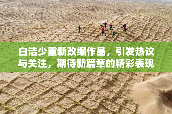 白洁少重新改编作品，引发热议与关注，期待新篇章的精彩表现。