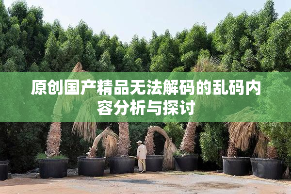 原创国产精品无法解码的乱码内容分析与探讨