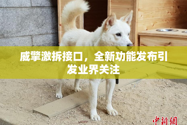 威擎激拆接口，全新功能发布引发业界关注