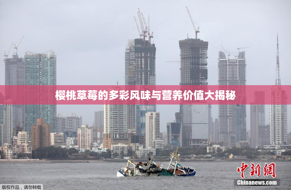樱桃草莓的多彩风味与营养价值大揭秘