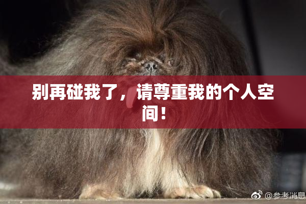 别再碰我了，请尊重我的个人空间！