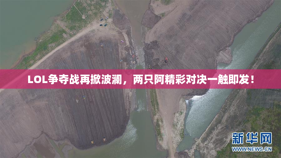 LOL争夺战再掀波澜，两只阿精彩对决一触即发！