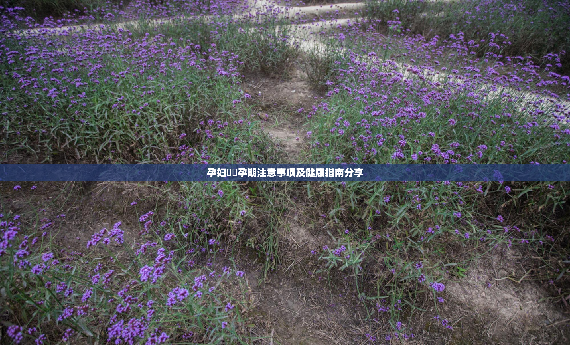 孕妇乂乄孕期注意事项及健康指南分享