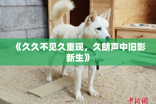 《久久不见久重现，久朗声中旧影新生》