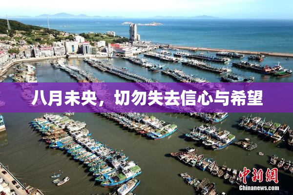 八月未央，切勿失去信心与希望