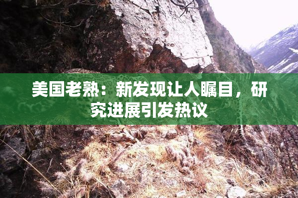 美国老熟：新发现让人瞩目，研究进展引发热议