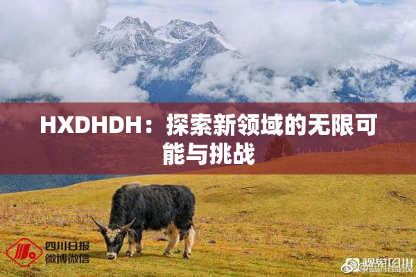 HXDHDH：探索新领域的无限可能与挑战