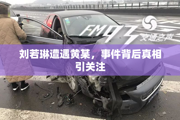 刘若琳遭遇黄某，事件背后真相引关注