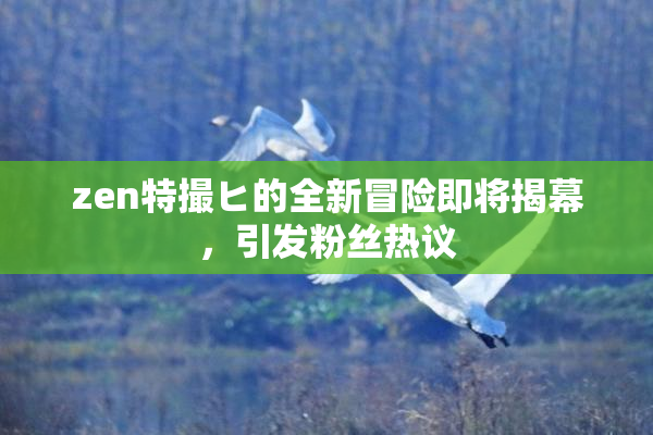 zen特撮ヒ的全新冒险即将揭幕，引发粉丝热议