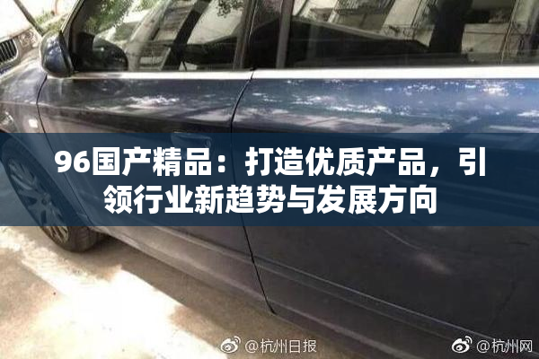 96国产精品：打造优质产品，引领行业新趋势与发展方向