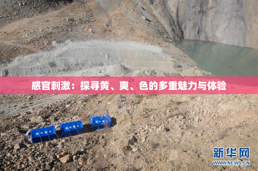 感官刺激：探寻黄、爽、色的多重魅力与体验