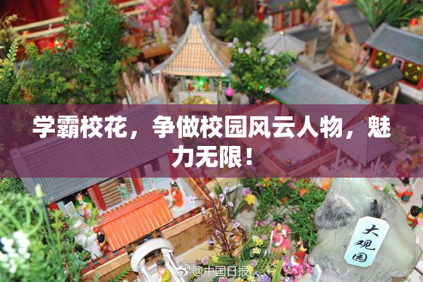 学霸校花，争做校园风云人物，魅力无限！