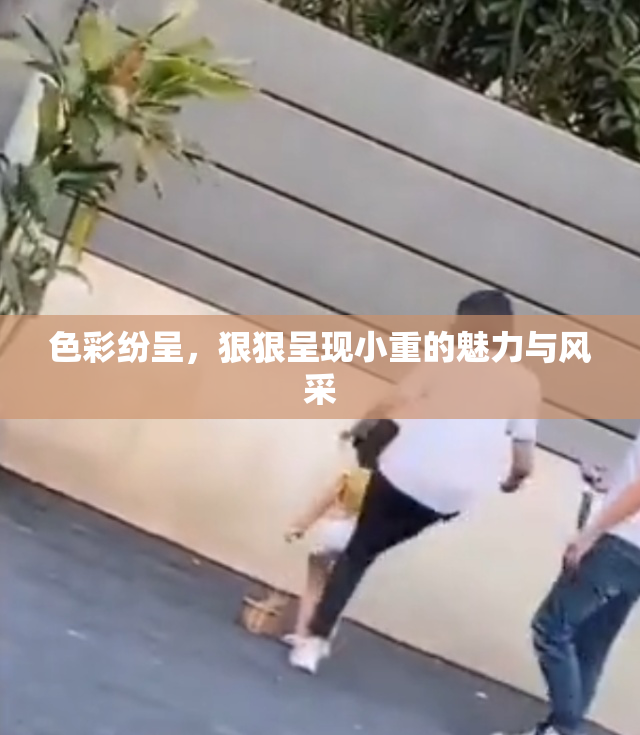 色彩纷呈，狠狠呈现小重的魅力与风采