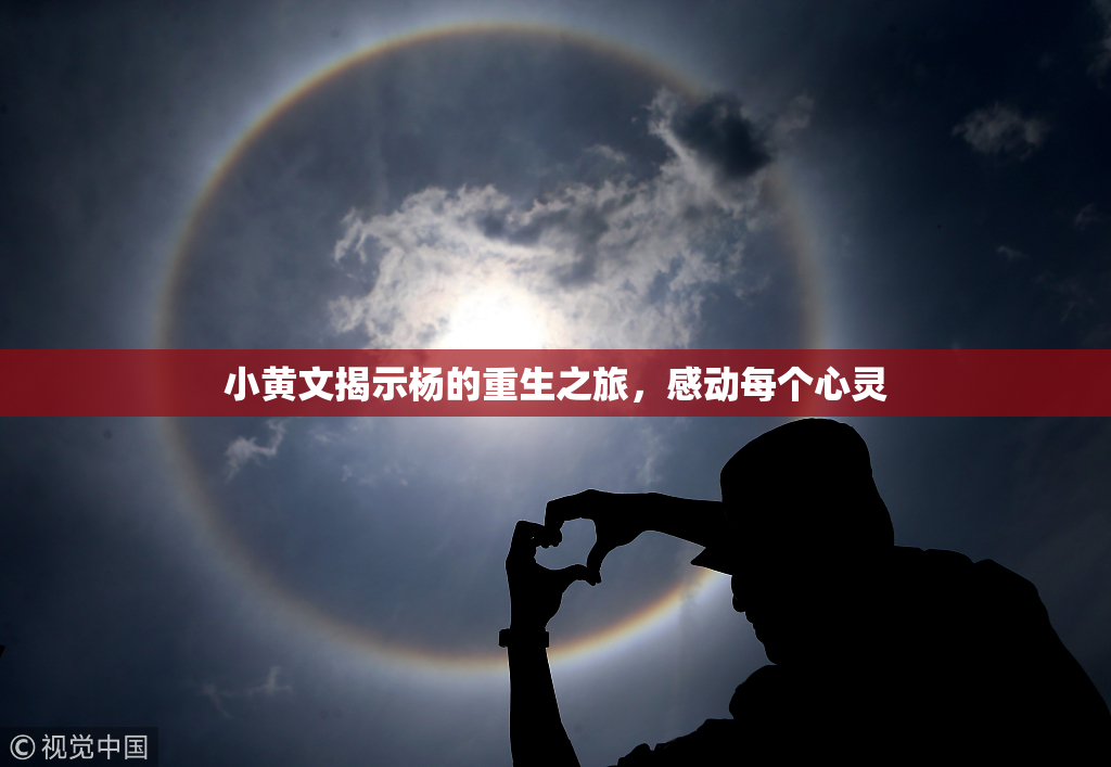 小黄文揭示杨的重生之旅，感动每个心灵