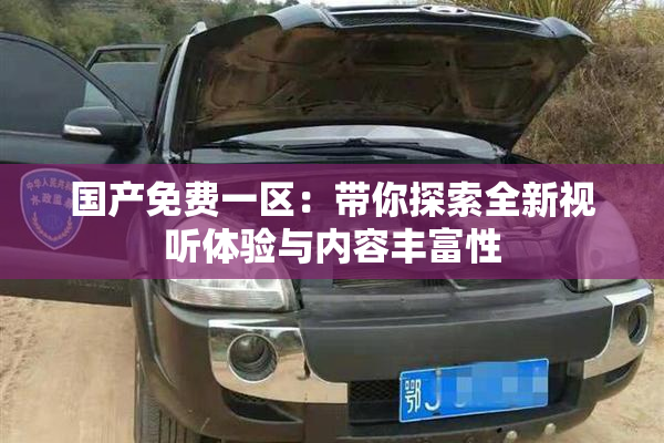国产免费一区：带你探索全新视听体验与内容丰富性