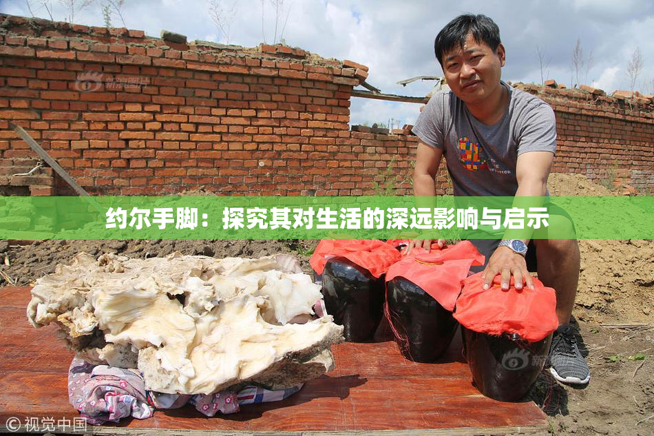 约尔手脚：探究其对生活的深远影响与启示