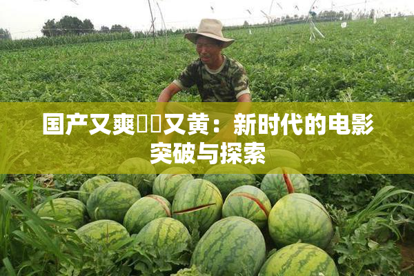 国产又爽❌‌又黄：新时代的电影突破与探索