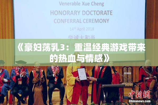 《豪妇荡乳3：重温经典游戏带来的热血与情感》