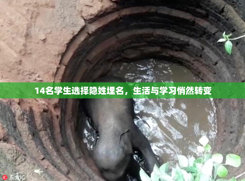 14名学生选择隐姓埋名，生活与学习悄然转变