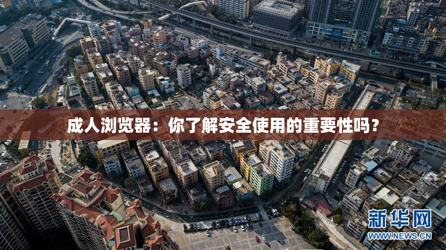 成人浏览器：你了解安全使用的重要性吗？