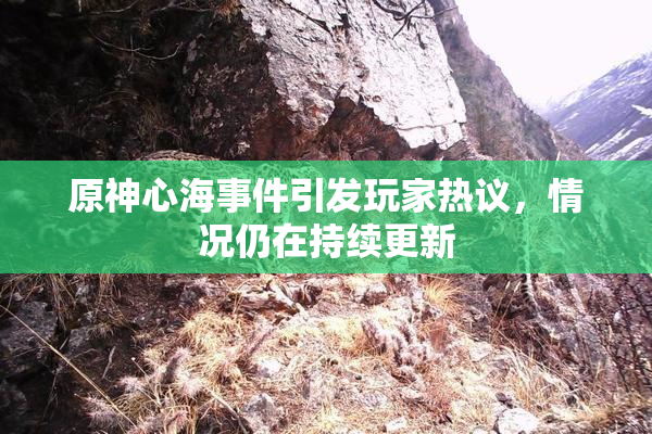 原神心海事件引发玩家热议，情况仍在持续更新