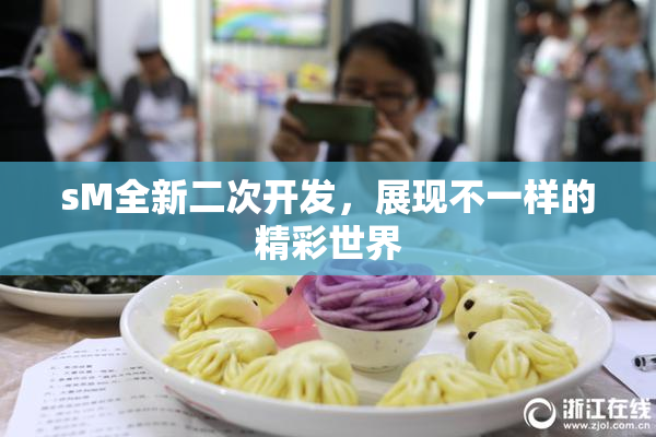 sM全新二次开发，展现不一样的精彩世界