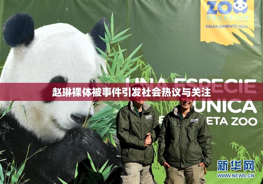 赵琳裸体被事件引发社会热议与关注