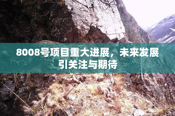 8008号项目重大进展，未来发展引关注与期待