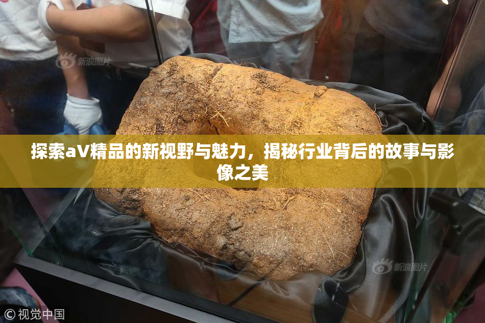 探索aV精品的新视野与魅力，揭秘行业背后的故事与影像之美