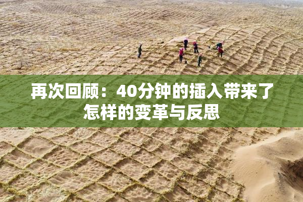 再次回顾：40分钟的插入带来了怎样的变革与反思