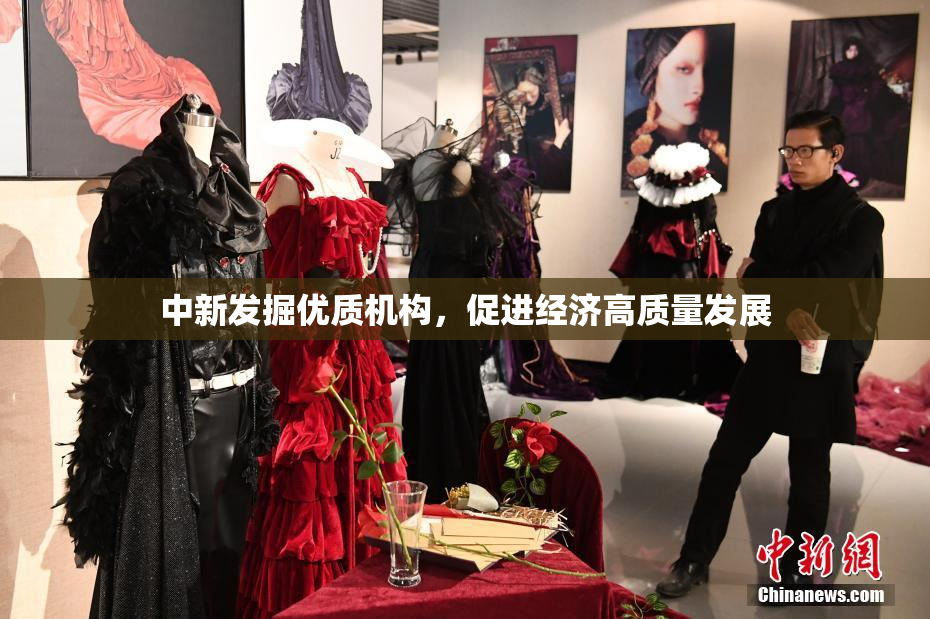 中新发掘优质机构，促进经济高质量发展
