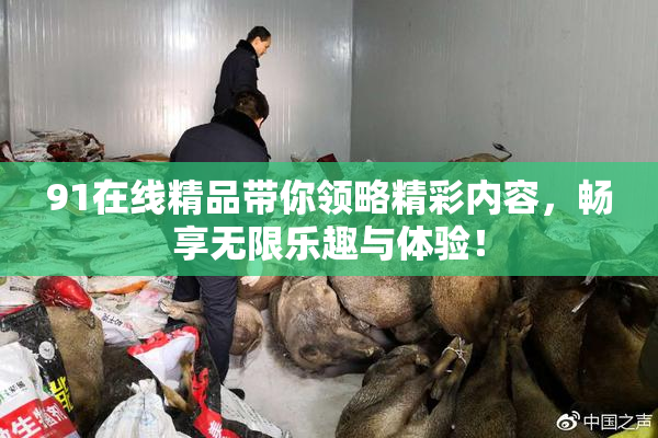 91在线精品带你领略精彩内容，畅享无限乐趣与体验！