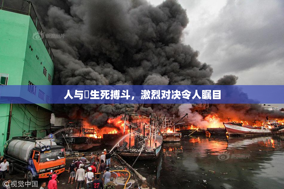 人与嘼生死搏斗，激烈对决令人瞩目