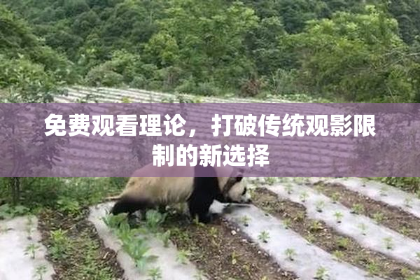 免费观看理论，打破传统观影限制的新选择