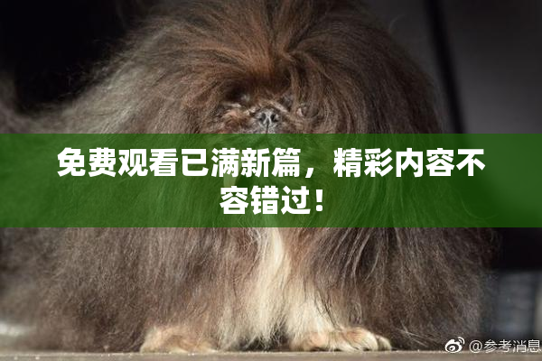 免费观看已满新篇，精彩内容不容错过！