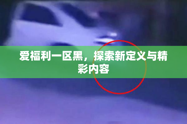 爱福利一区黑，探索新定义与精彩内容