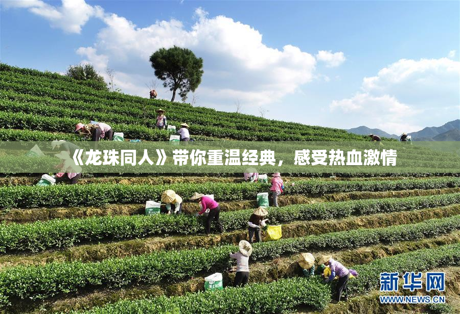 《龙珠同人》带你重温经典，感受热血激情