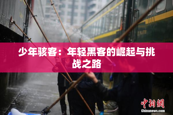 少年骇客：年轻黑客的崛起与挑战之路