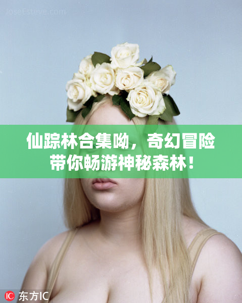 仙踪林合集呦，奇幻冒险带你畅游神秘森林！