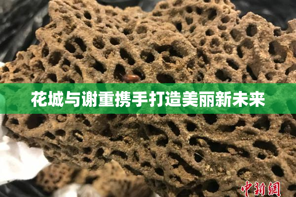 花城与谢重携手打造美丽新未来