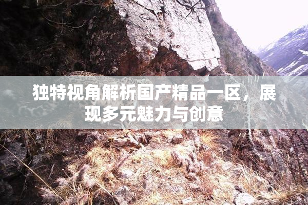 独特视角解析国产精品一区，展现多元魅力与创意