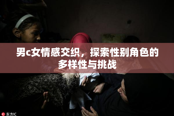 男c女情感交织，探索性别角色的多样性与挑战