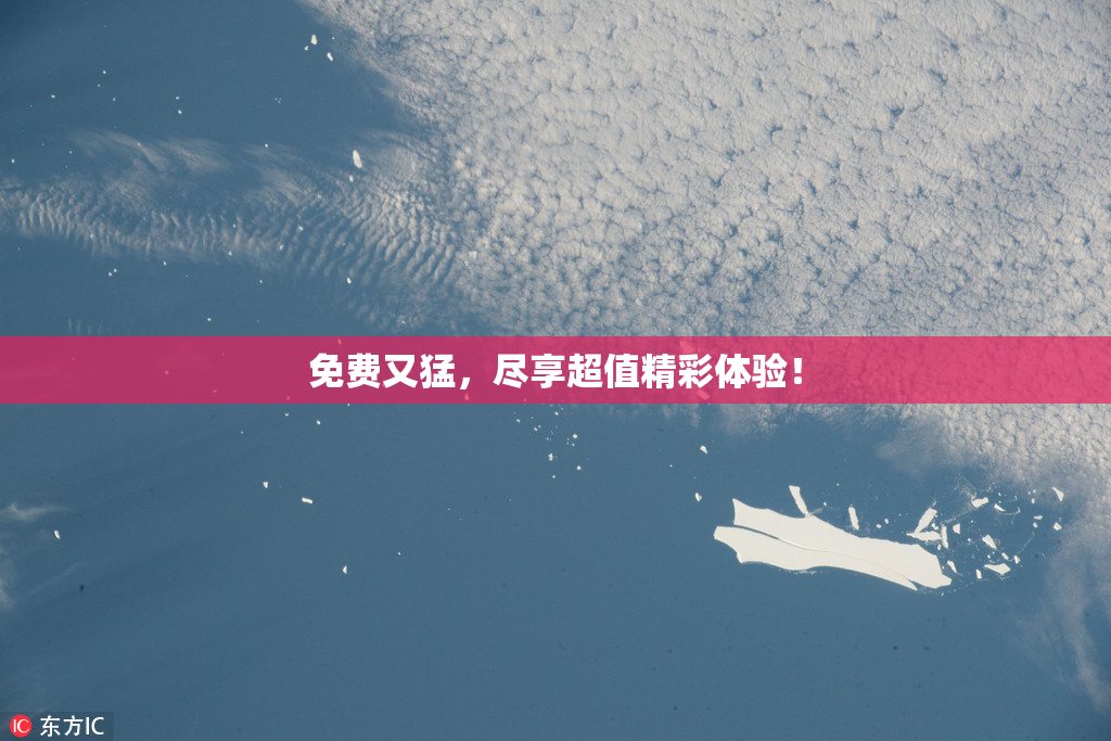免费又猛，尽享超值精彩体验！