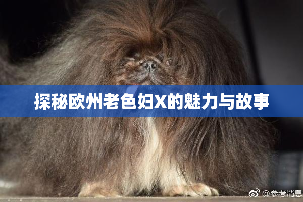 探秘欧州老色妇X的魅力与故事