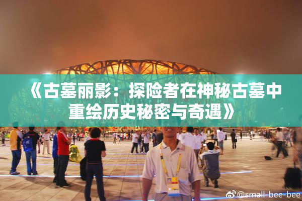 《古墓丽影：探险者在神秘古墓中重绘历史秘密与奇遇》